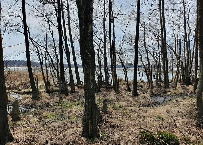 Mtk I بيت ضيافة Smołdzino